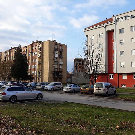 Apartment Azzuro Novi Sad Esterno foto